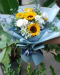 陽光朝氣向日葵Sunshine Blooms